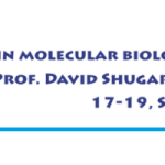 shugar-banner